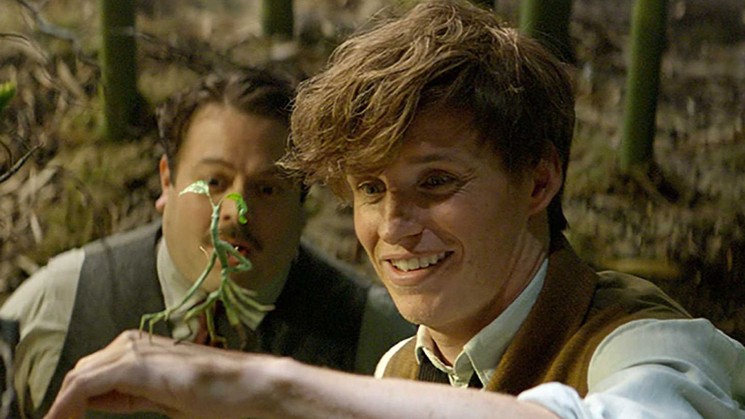 «Les animaux fantastiques 2» indétrônables